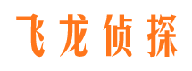 禹城市调查公司